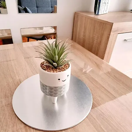 Karolina Apartment